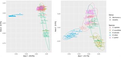 Comparative Microbiomics of Tephritid Frugivorous Pests (Diptera: Tephritidae) From the Field: A Tale of High Variability Across and Within Species